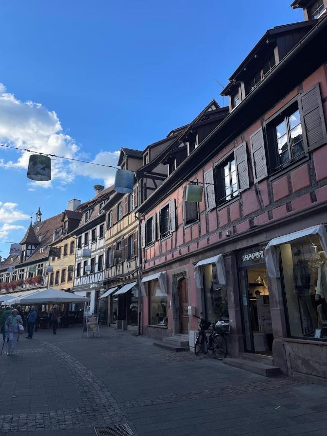La Colonne Apartman Obernai Kültér fotó